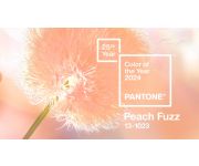 Peach Fuzz — персиковый пушок — цвет 2024 года