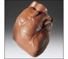Фигурное сердце из шоколада. Источник фото https://www.bluelips.com/pd_chocolate_heart.cfm