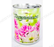 Хризантема — цветы в банке с логотипом
