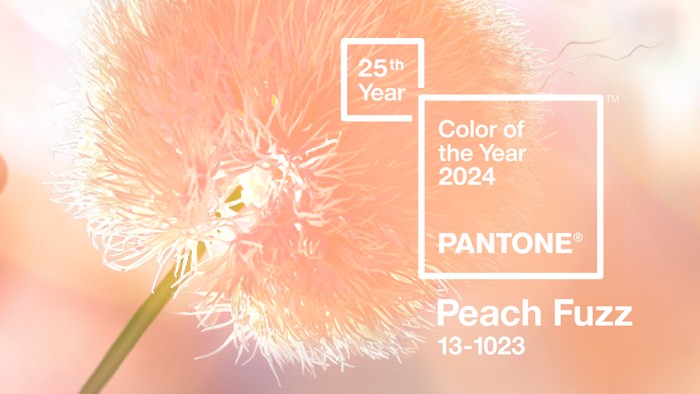 Peach Fuzz —   —  2024 